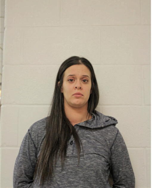 ASHLEY A LUKSIK, Cook County, Illinois