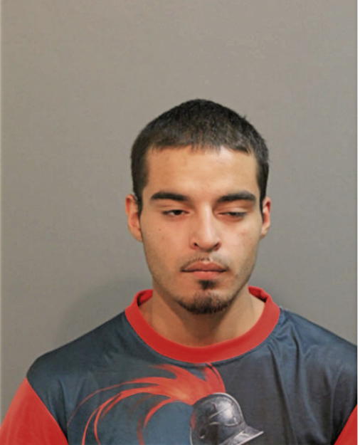 NIKO MARES, Cook County, Illinois