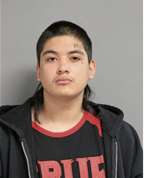 CARLOS MARTINEZ, Cook County, Illinois