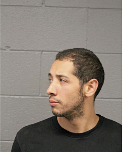 JESUS M MARTINEZ, Cook County, Illinois