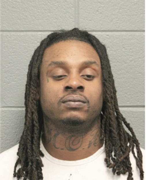 DAVID M OBANNER, Cook County, Illinois