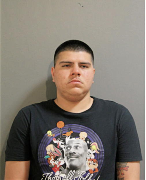 CAMERON ORNELAS, Cook County, Illinois