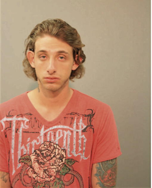 ANTHONY J PALAGGI, Cook County, Illinois