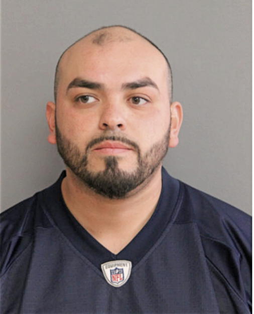 ALBERT PALOMAR, Cook County, Illinois