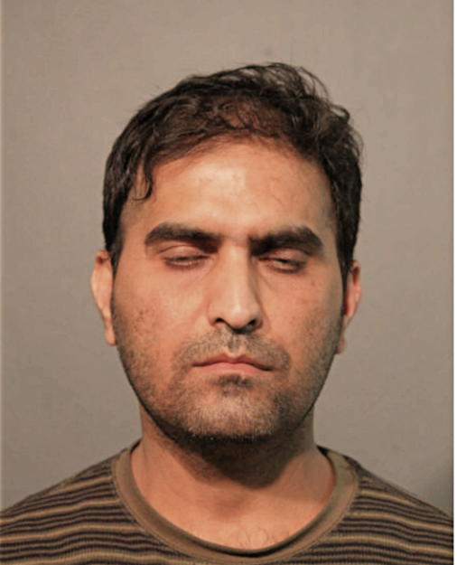 ALPESH M PATEL, Cook County, Illinois