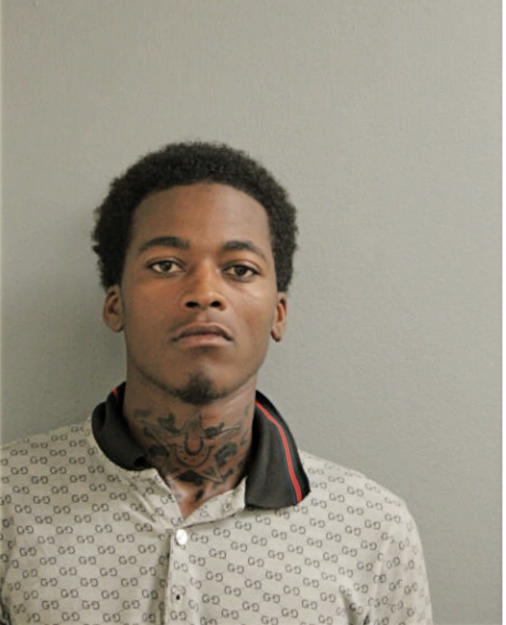CHRIS K PORTER, Cook County, Illinois