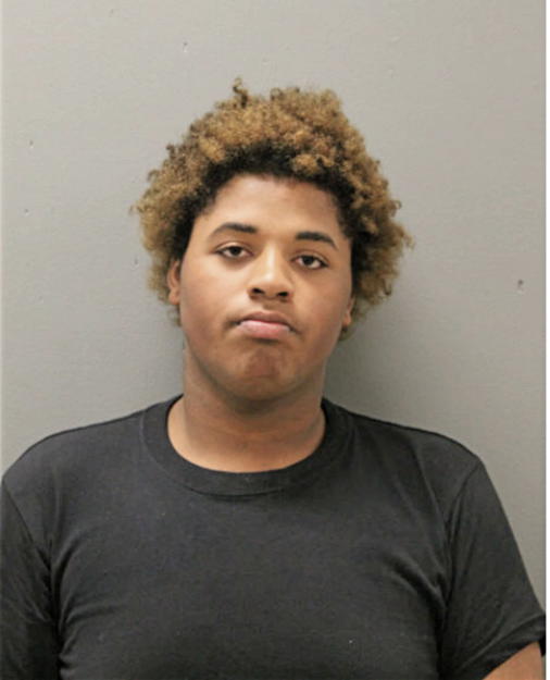 TYLOR J SELDON, Cook County, Illinois