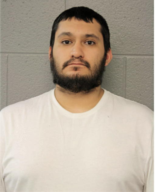 TRINIDAD SIMENTAL, Cook County, Illinois