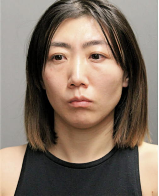 TINGTING WANG, Cook County, Illinois