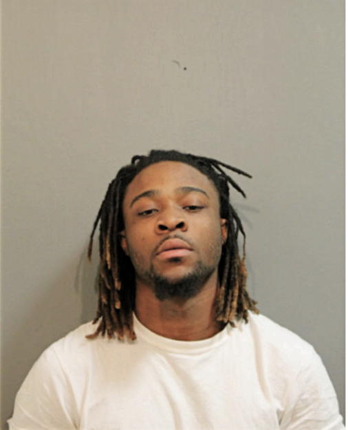 ANTHONY L WILLIAMS, Cook County, Illinois