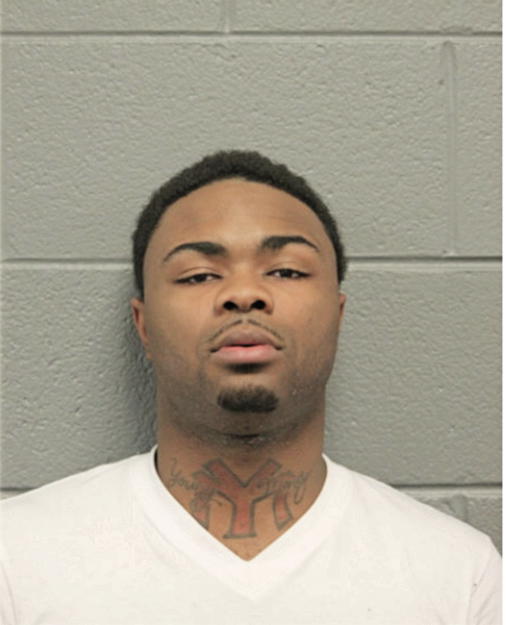 LIZZELE M WILLIAMS, Cook County, Illinois