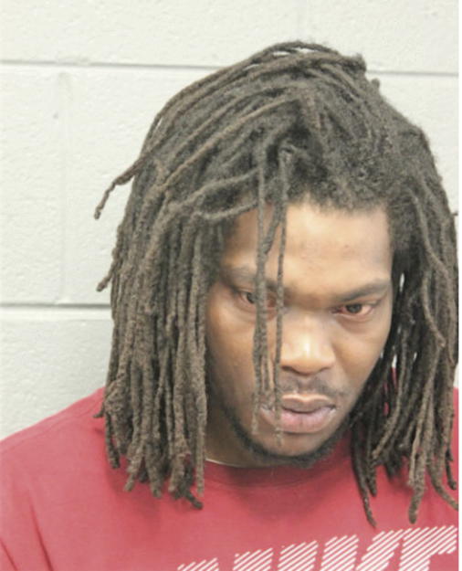 RONNIE T YOUNG, Cook County, Illinois