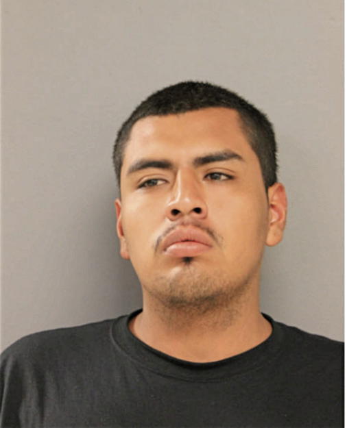 LUIS ANTONIO, Cook County, Illinois