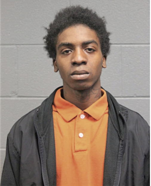 JOEVAUN L BREWER, Cook County, Illinois