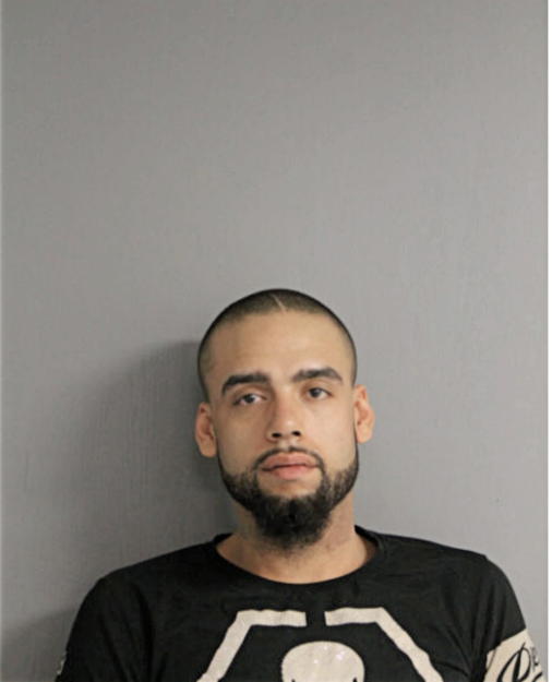 ANDREW J BURNS, Cook County, Illinois