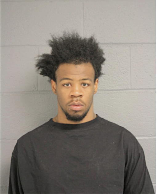 TYLER L CROUT, Cook County, Illinois