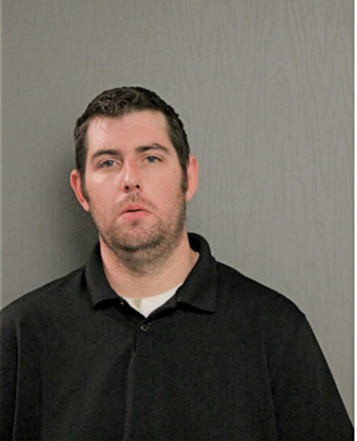 MARK J DWYER, Cook County, Illinois