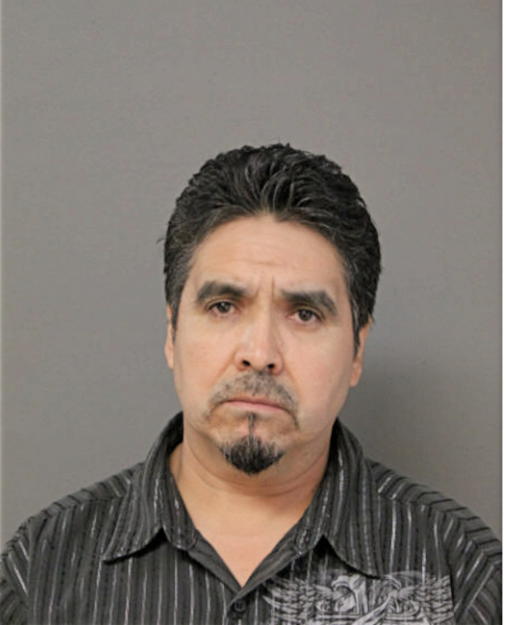 ALEJO ESTRADA-NAVARRO, Cook County, Illinois