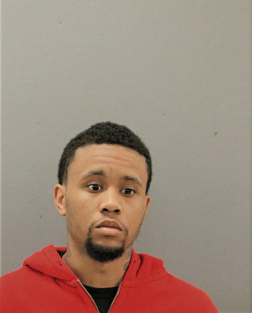 ROBERT E EVANS, Cook County, Illinois