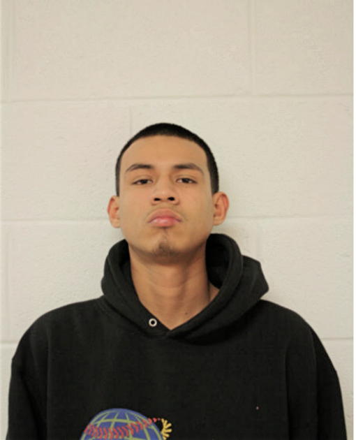 ERIK J GARCIA, Cook County, Illinois