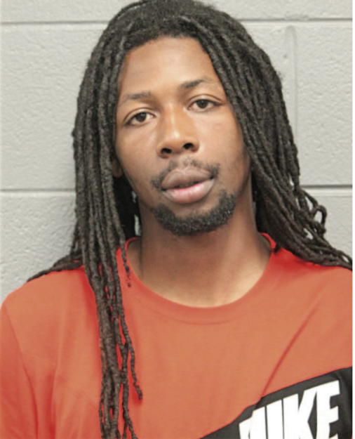 LADON A HAYGOOD, Cook County, Illinois