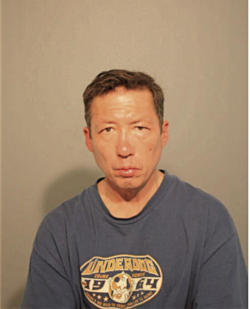 BOBBY C IDAKA, Cook County, Illinois