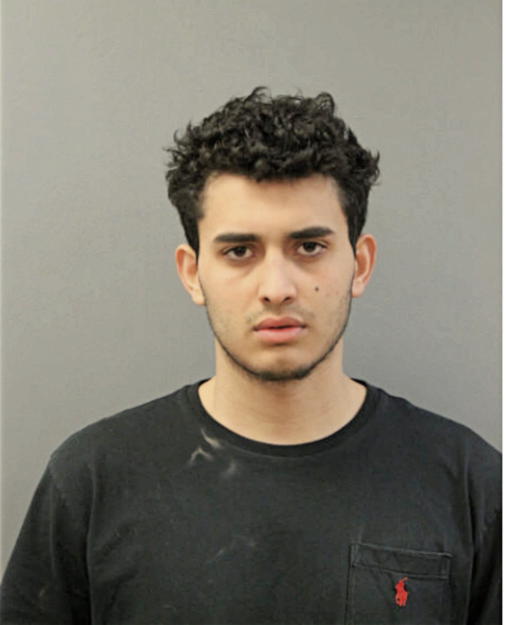 ANGEL L IRIZZARY-RODRIGUEZ, Cook County, Illinois