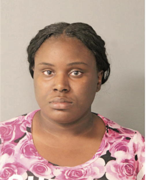 ALEXIS L JOHNSON, Cook County, Illinois