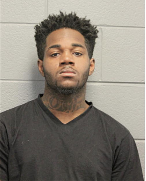 MICHAEL A JOHNSON, Cook County, Illinois