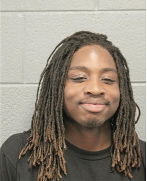 JOHNNIE L JONES, Cook County, Illinois