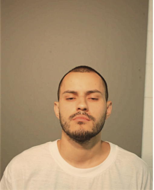 ALEXANDER LUNA, Cook County, Illinois