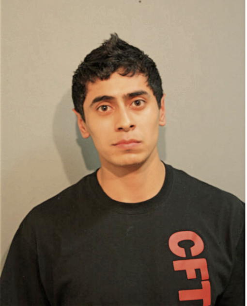 ALEXIS MARTINEZ, Cook County, Illinois