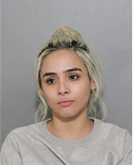 FABIOLA NAVARRO-MUNDO, Cook County, Illinois