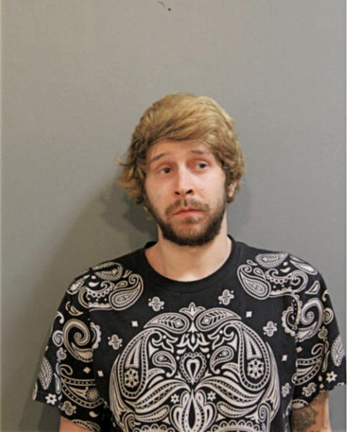 MICHAEL W NIEMANN, Cook County, Illinois