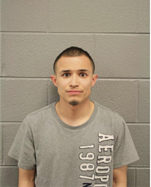 ERICK A OCHOA, Cook County, Illinois