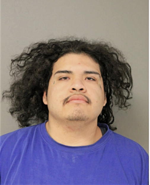 FABIAN REGALADO, Cook County, Illinois