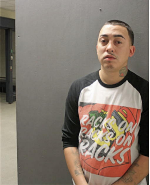 JOSE M REYES, Cook County, Illinois
