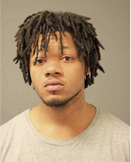DION D RICHARDS, Cook County, Illinois