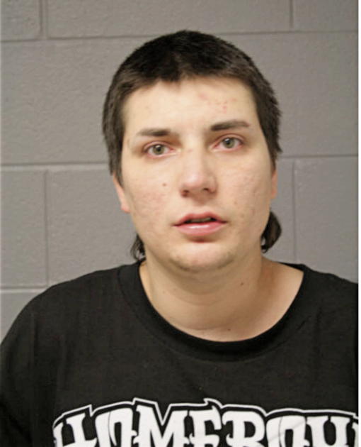 VICTOR SMEKAL, Cook County, Illinois
