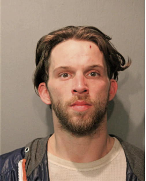 TYLER EMERSON WOOD, Cook County, Illinois