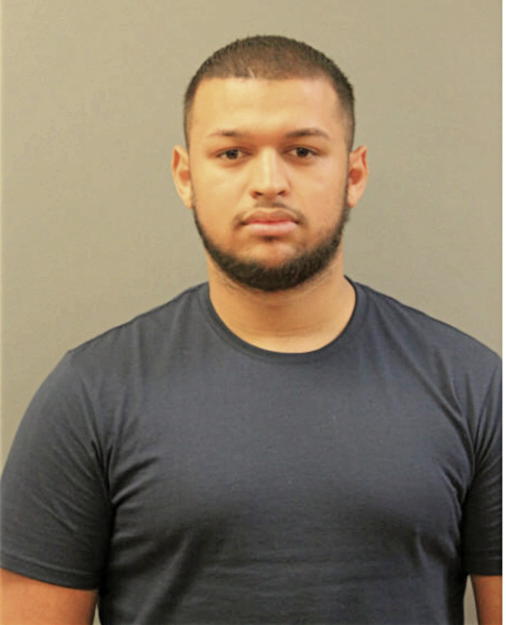 DILAN I ABREU, Cook County, Illinois