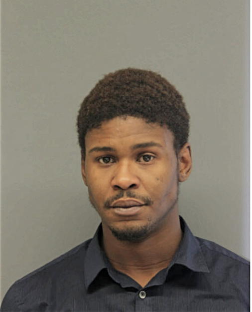 BRANDON E ANDERSON, Cook County, Illinois