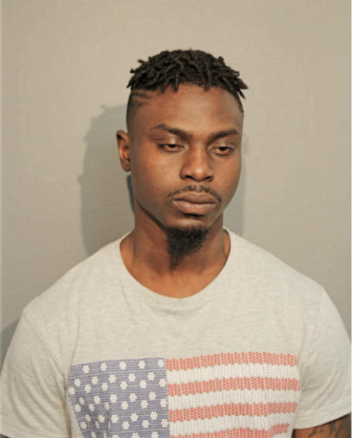 BABATUNAE DAVID, Cook County, Illinois