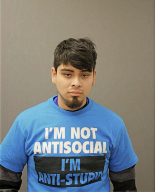 LUIS E DELGADO, Cook County, Illinois