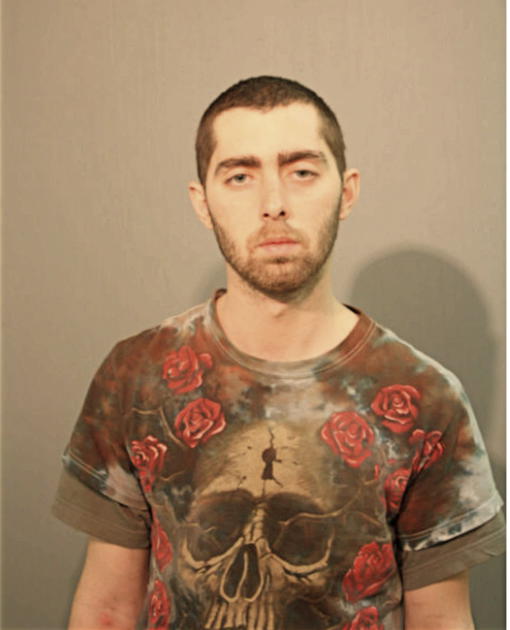 TIMOTHY PATRICK FITZGIBBON, Cook County, Illinois