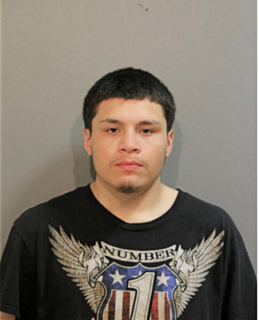 ALEJANDRO FLORES, Cook County, Illinois