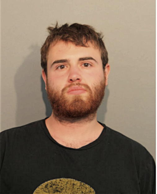 DAVID A GREENBERG, Cook County, Illinois