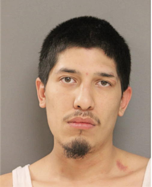 LUIS E GUILLEN, Cook County, Illinois