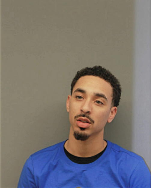 MICHAEL HODGES, Cook County, Illinois