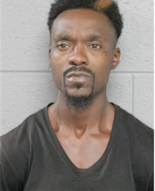 JOSHUA L HOLLINS, Cook County, Illinois